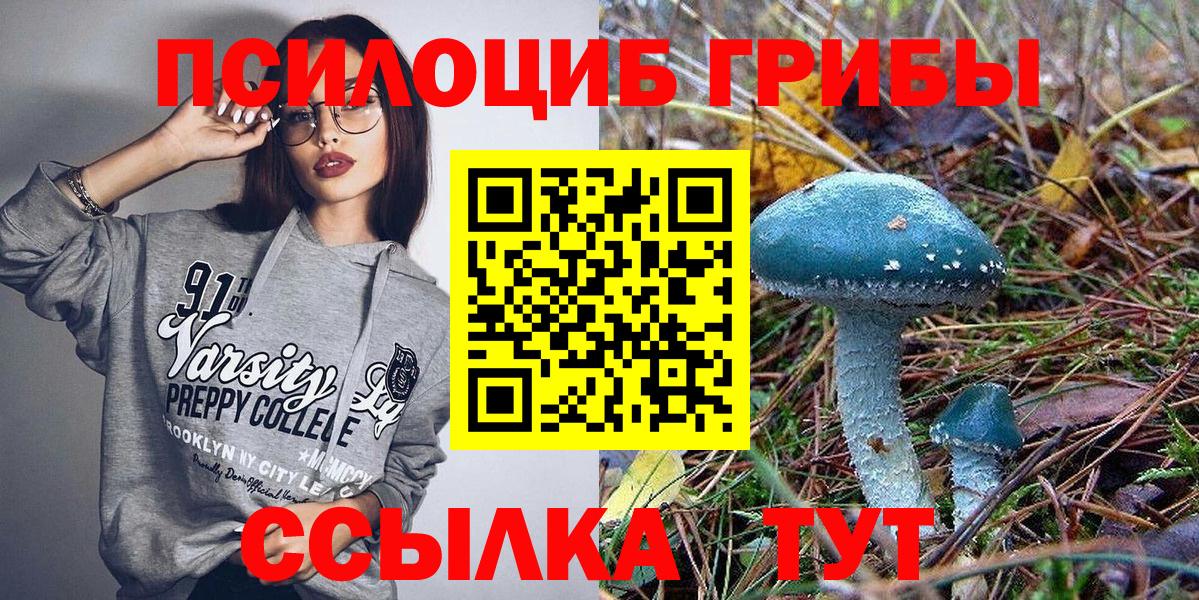 Псилоцибиновые грибы Cubensis Полысаево